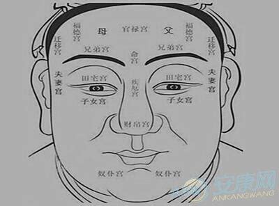 犀牛骨面相|相学上的九骨图解